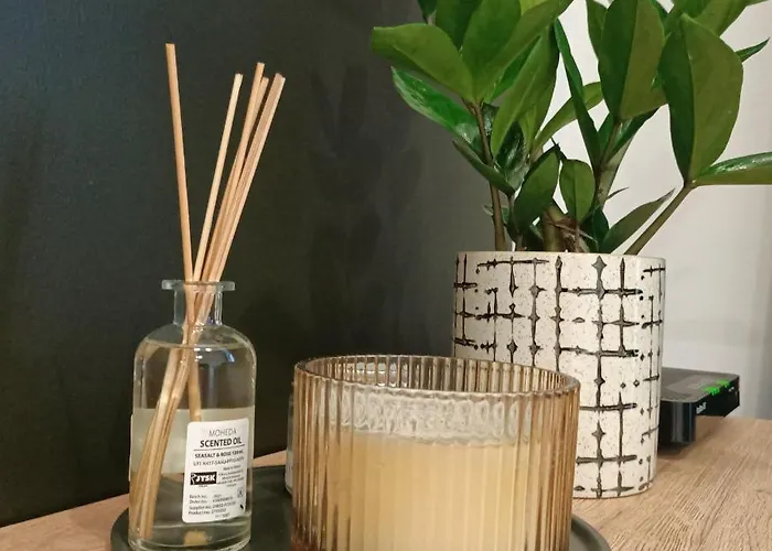 Droinvest Zarembowicza 33 Lotnisko Airport